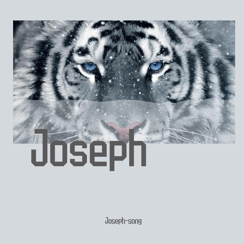 handsome lau-梦醒 -（Joseph-song Remix