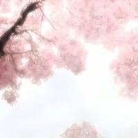 何欣婷