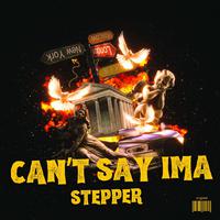 cant say ima stepper (feat. Mr. Congo & ACP)