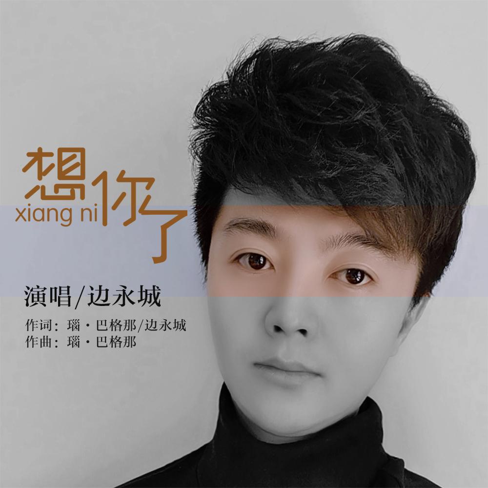 想你了 - 边永城封面