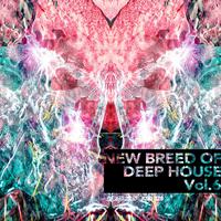 New Breed Of Deep House, Vol. 6