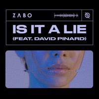 Is It A Lie (feat. David Pinard)