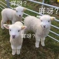 撕夜 (DJ国会鼓版)封面