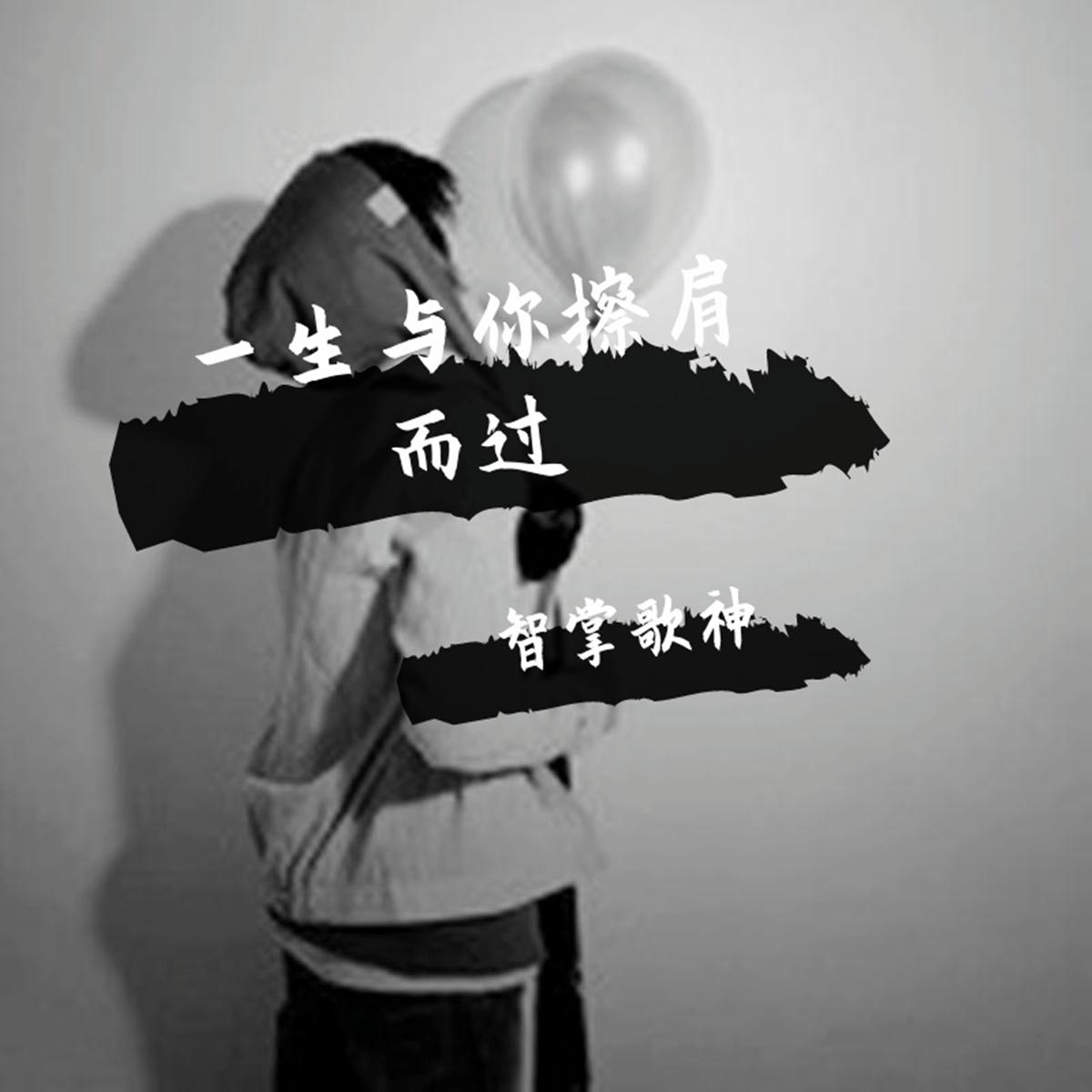 一生与你擦肩而过 - 智掌歌神封面