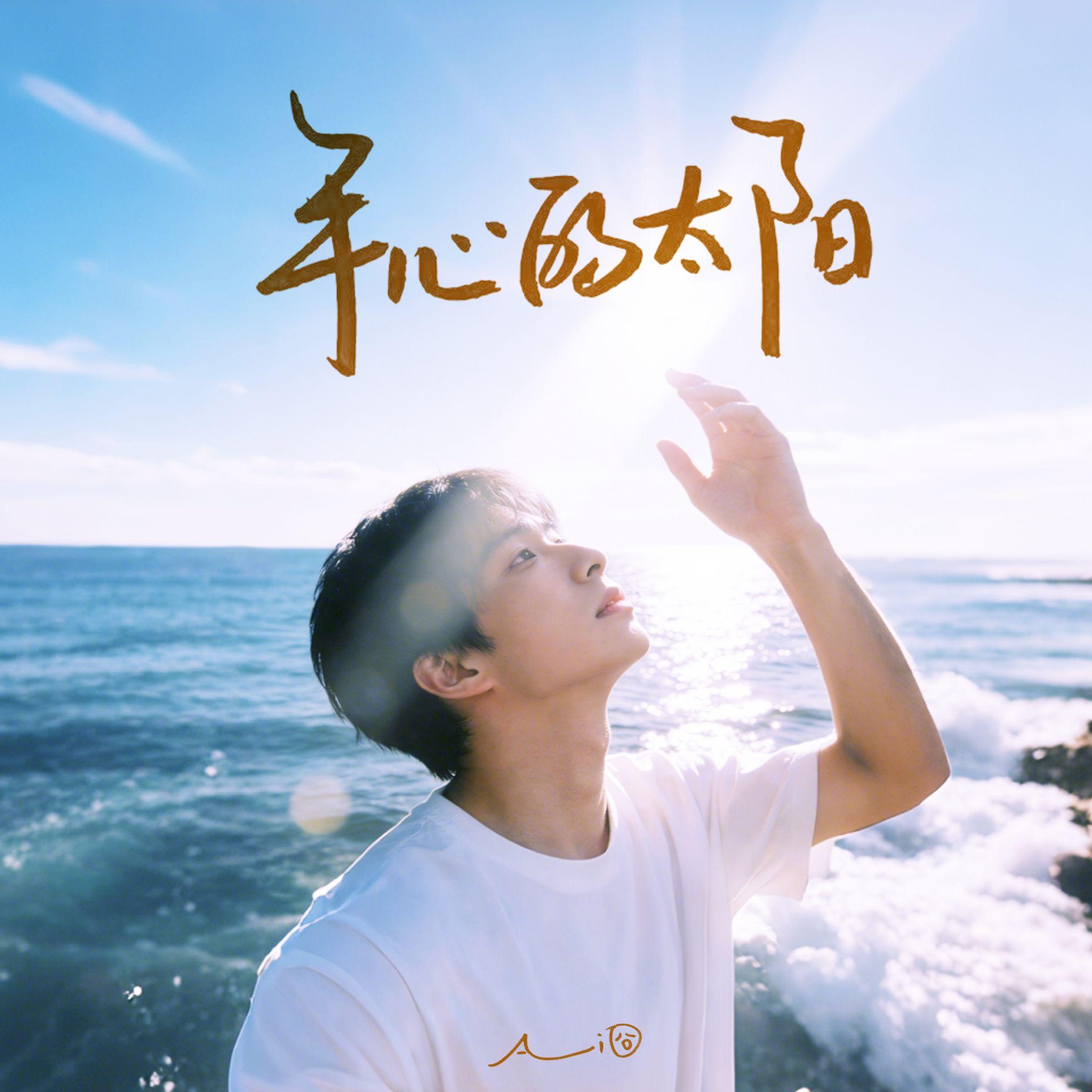 手心的太阳(为你投射我 最暖的光芒)封面
