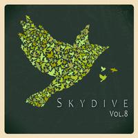 Skydive, Vol. 08