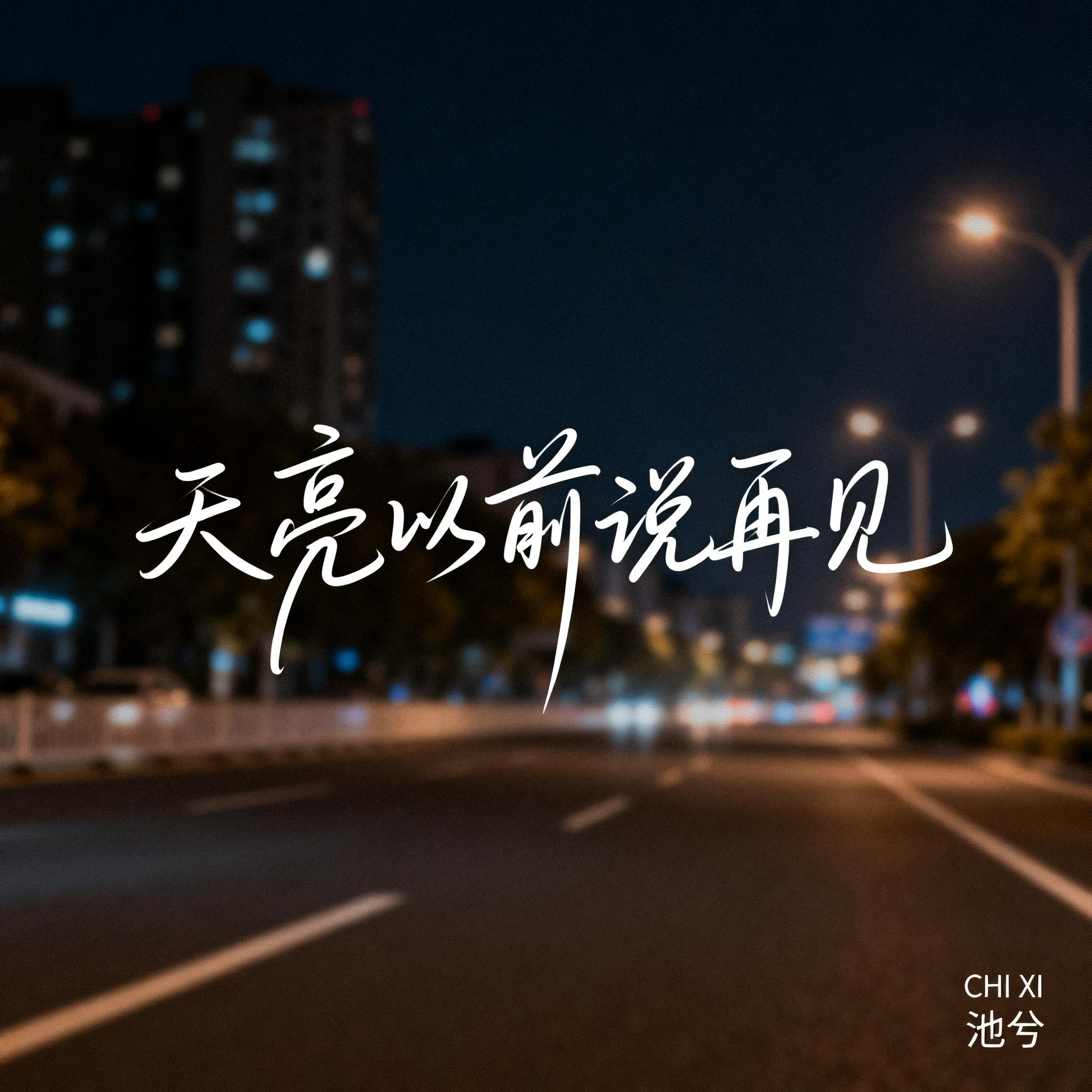 天亮以前说再见封面