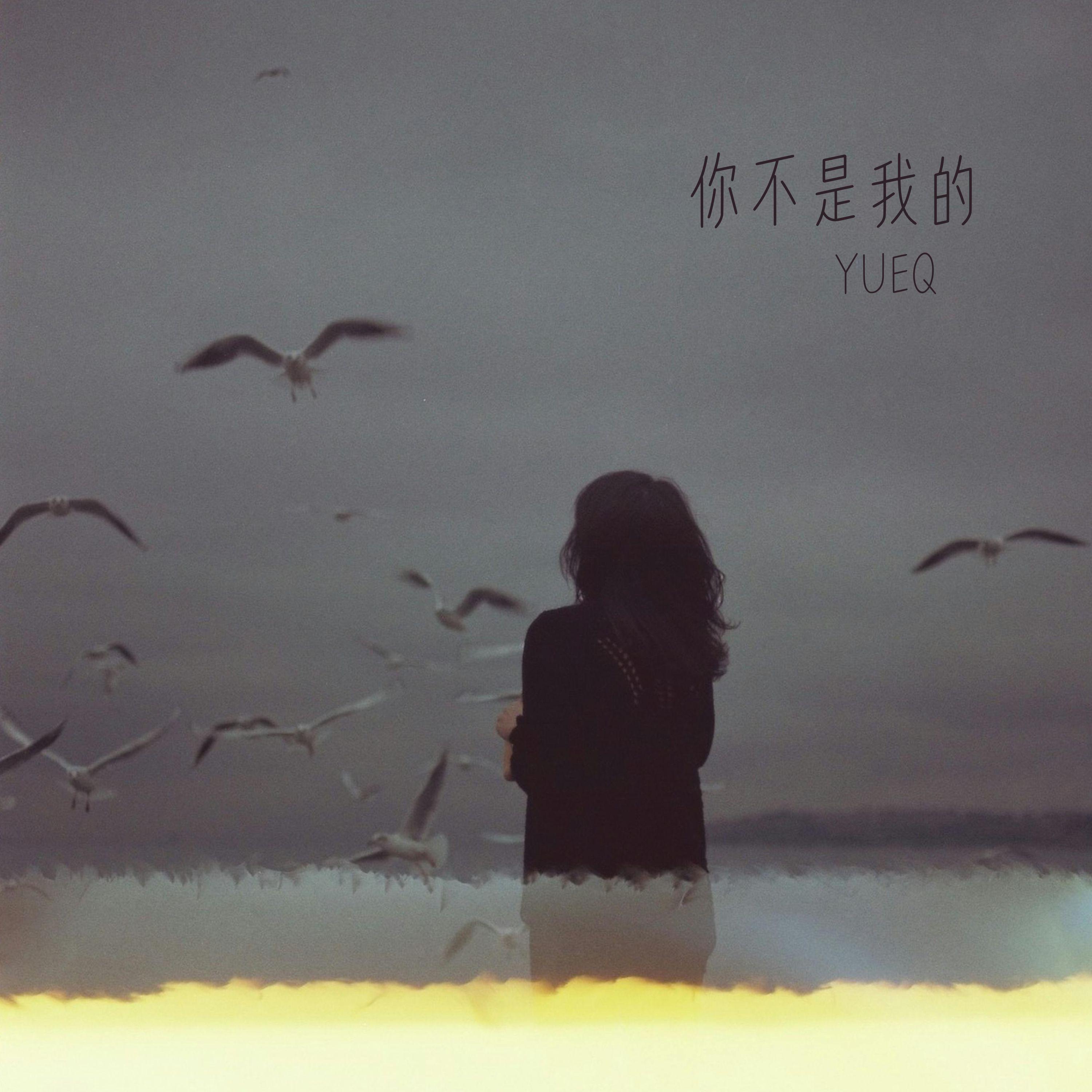 你不是我的月亮封面