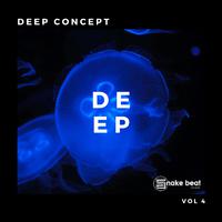 Deep Concept, Vol. 4