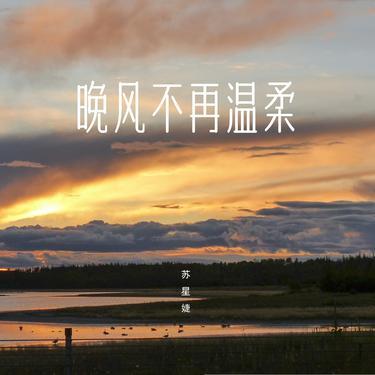 晚风不再温柔 (DJAh版)封面