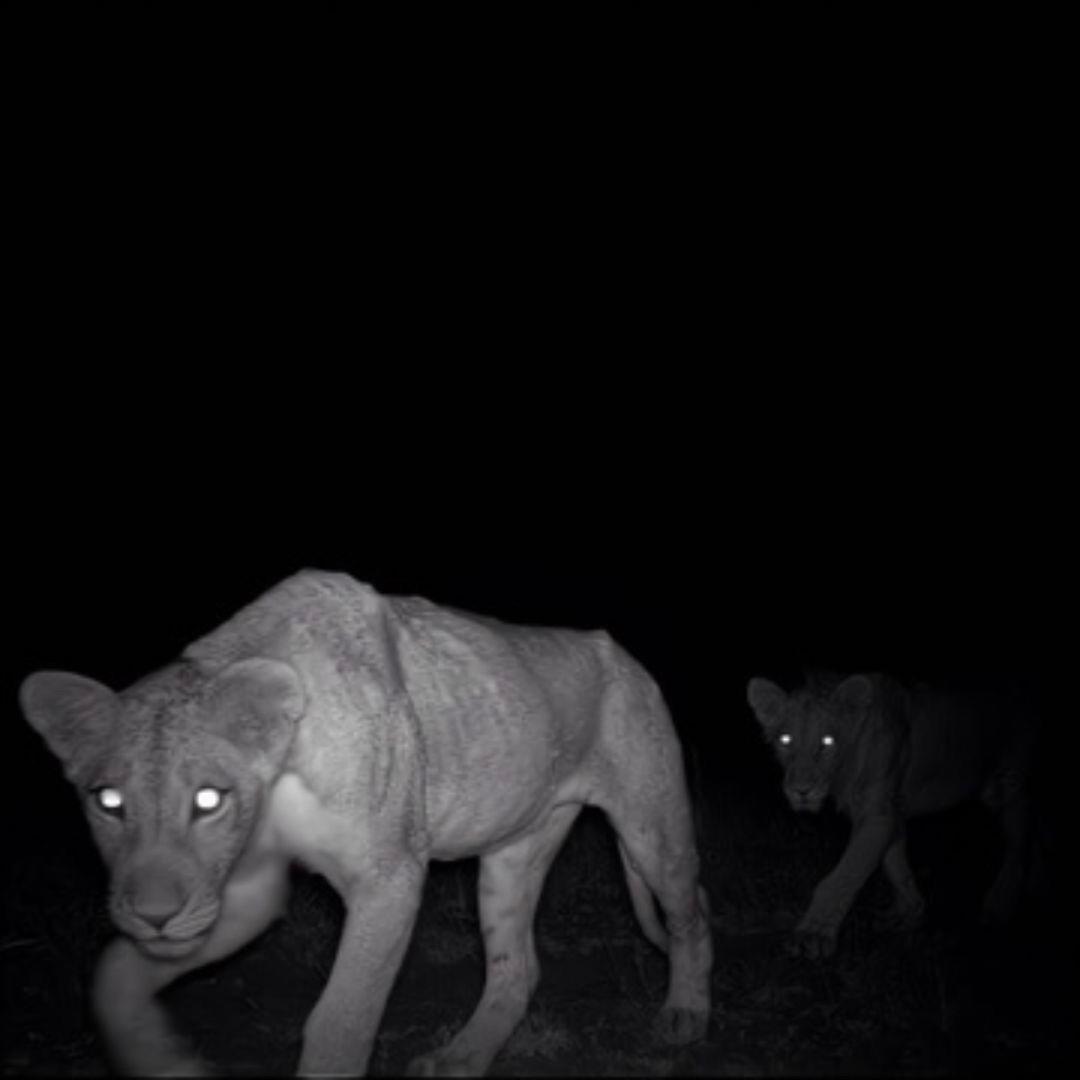 Angetenar（Slowed）