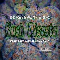 Kush Dizasta (feat. Tripl3-C)