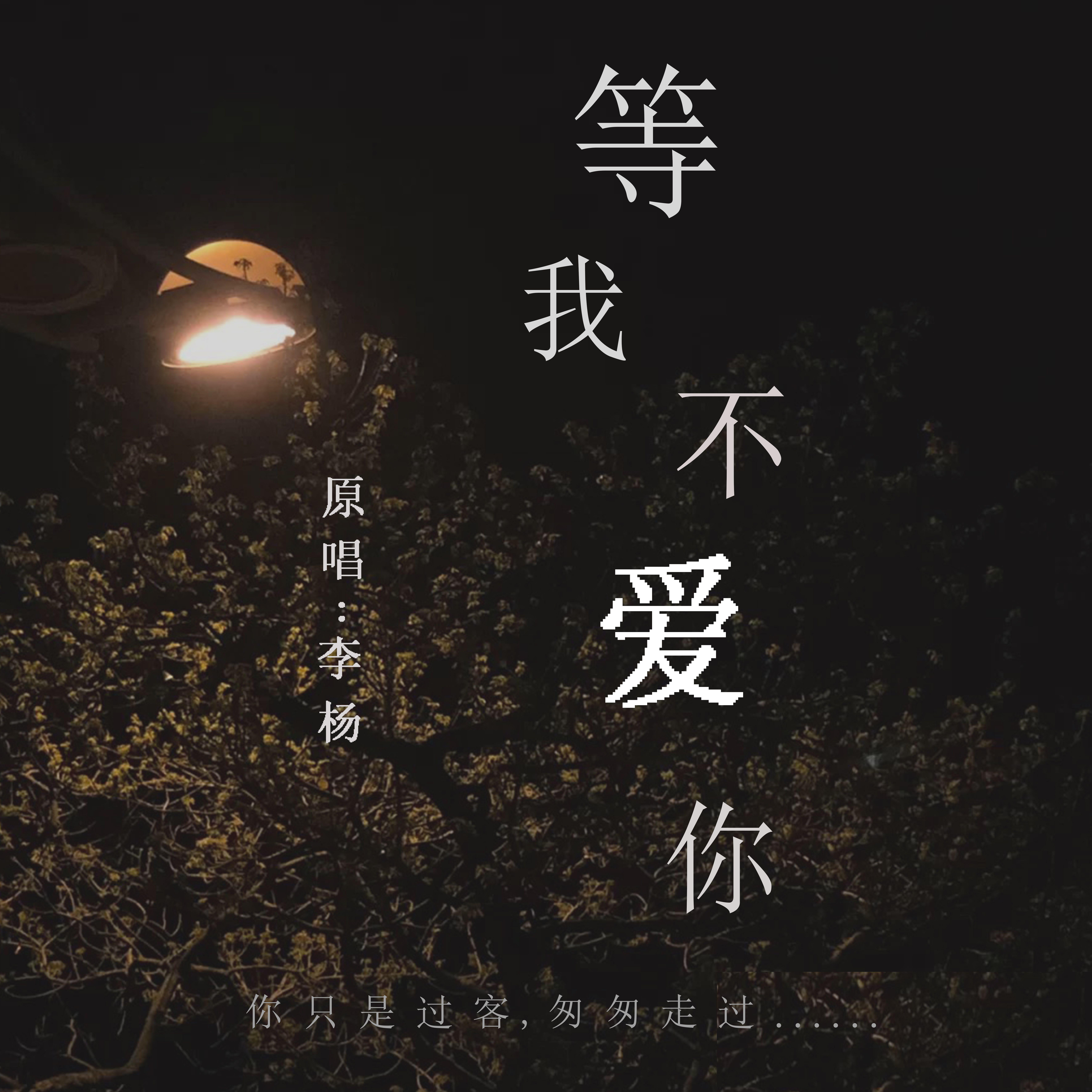等我 不爱你封面