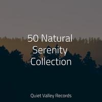 50 Natural Serenity Collection