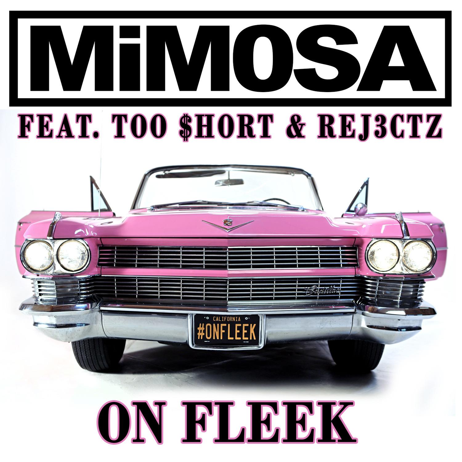 On Fleek (feat. Too Short & Rej3ctz)