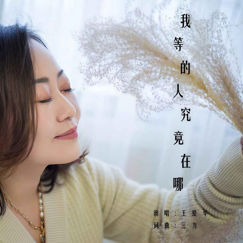 我等的人究竟在哪 - 王爱华封面