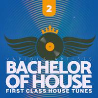 Bachelor of House, Vol. 2