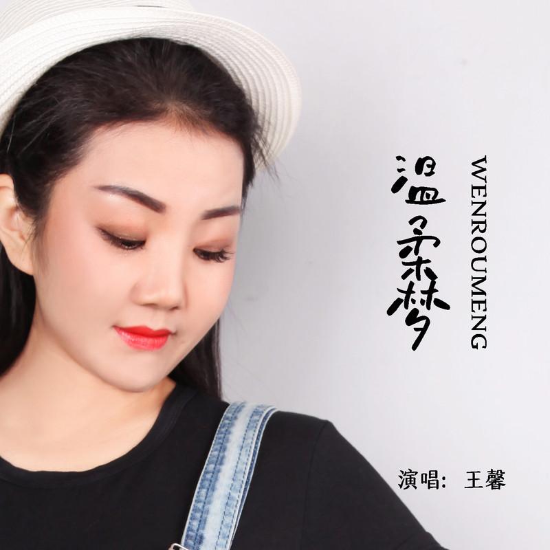 温柔梦 (DJ默涵女版)封面