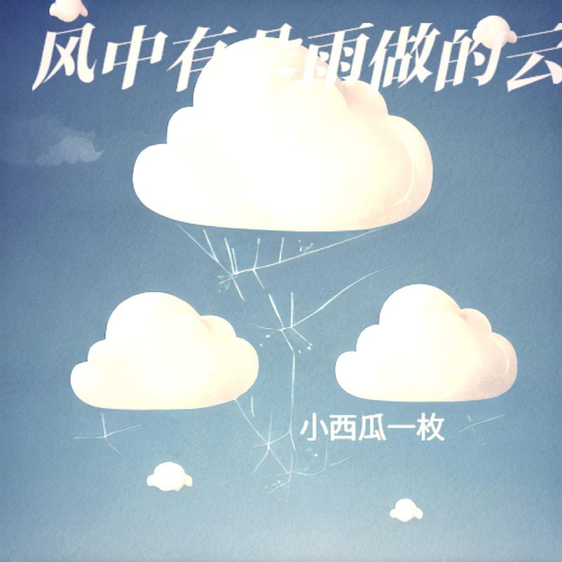 风中有朵雨做的云 (伴奏)封面