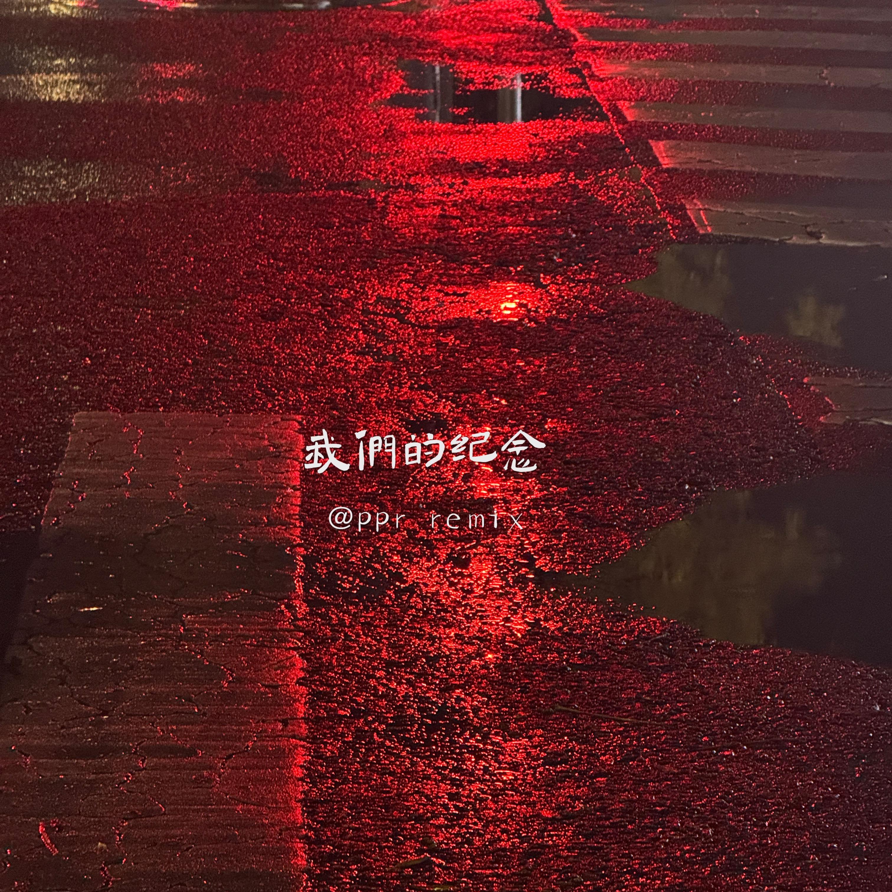 我们的纪念（放羊的星星氛围beat）（PPR Remix）封面