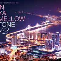 IN YA MELLOW TONE 12