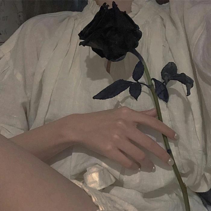 没有人不比我快乐（翻自 Fine乐团） - 晴二封面