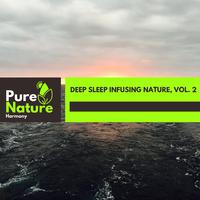 Deep Sleep Infusing Nature, Vol. 2