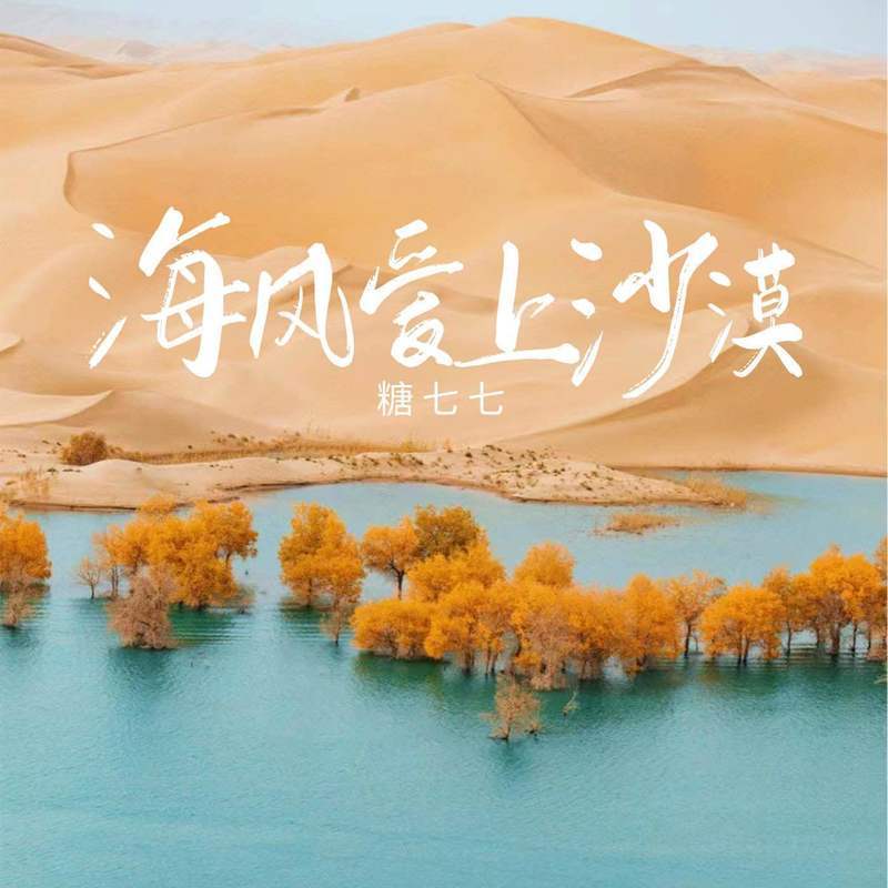 海风爱上沙漠 (伴奏) - 糖七七封面
