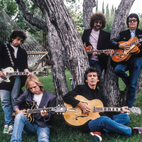 Traveling Wilburys