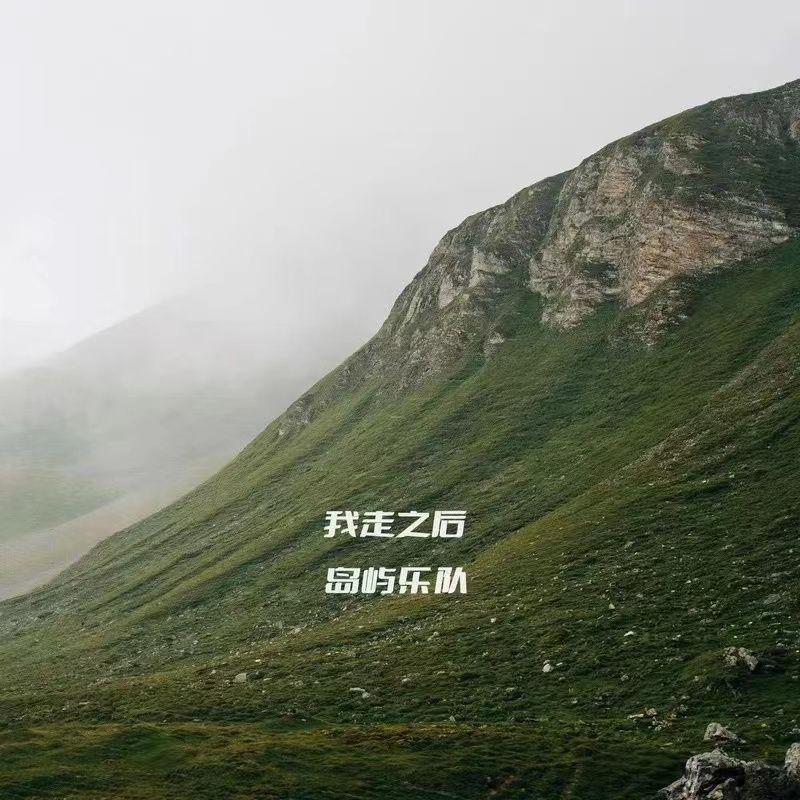 我走之后封面