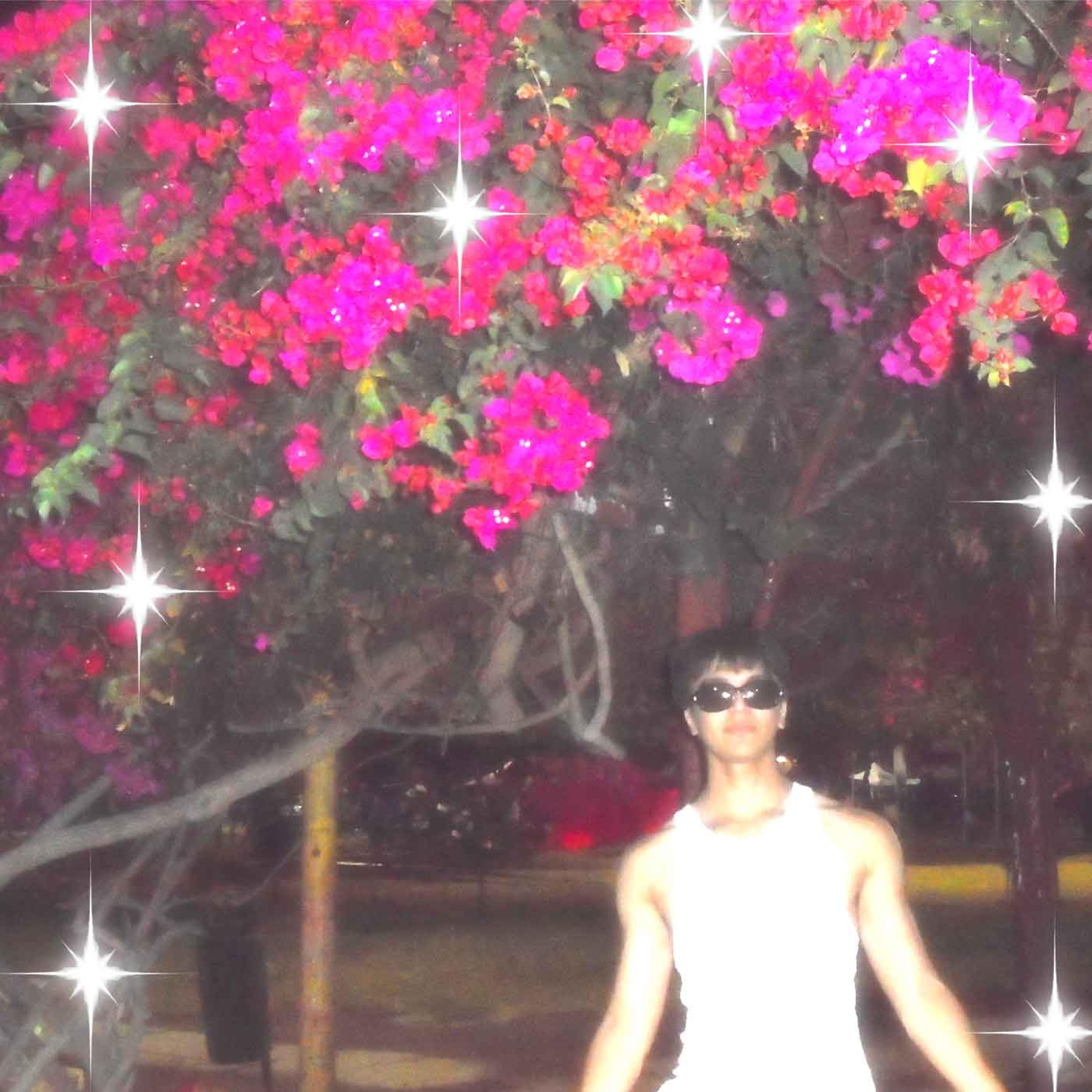 Solo esta Noche (meu amor)