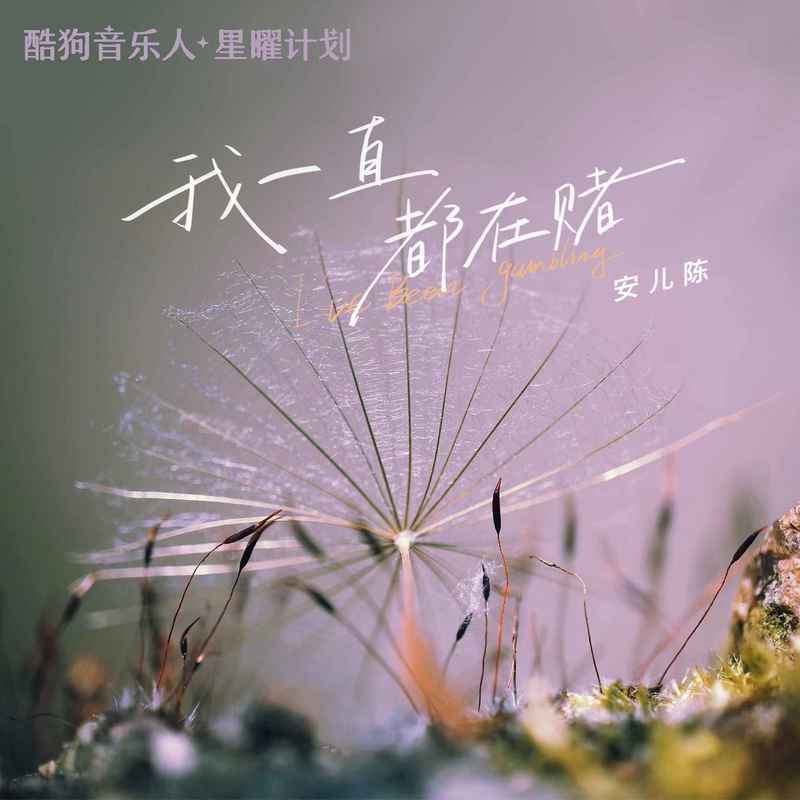 我一直都在赌 (伴奏)封面