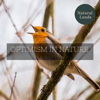 Optimism in Nature