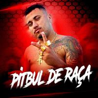 Pitbul De Raça