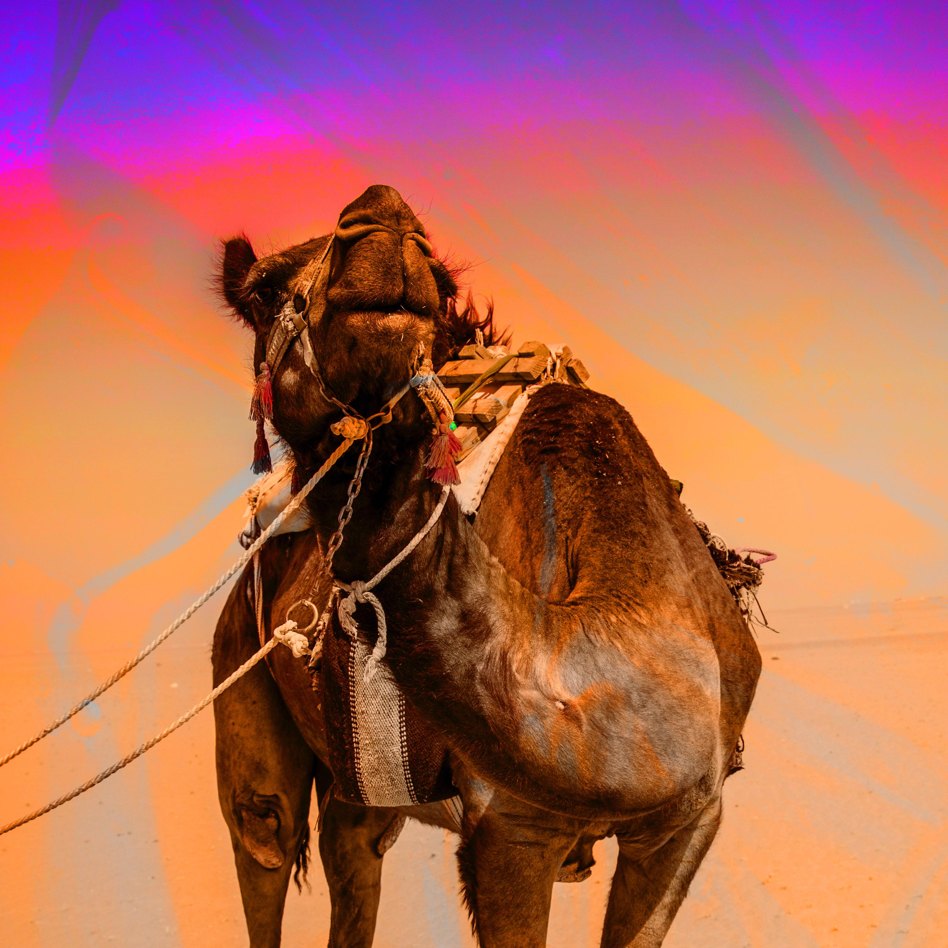 Cold Breeze (feat. yuenn)