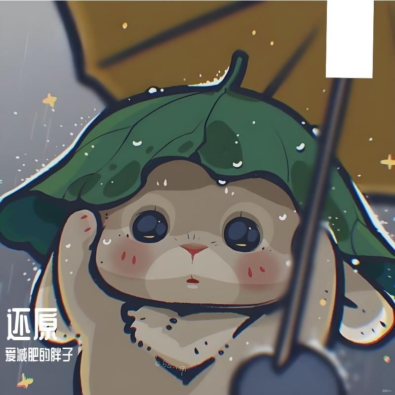 火山情书封面
