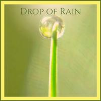 Drop of Rain