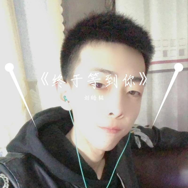 我愿你桃花不断(伴奏)(翻自 群星)封面
