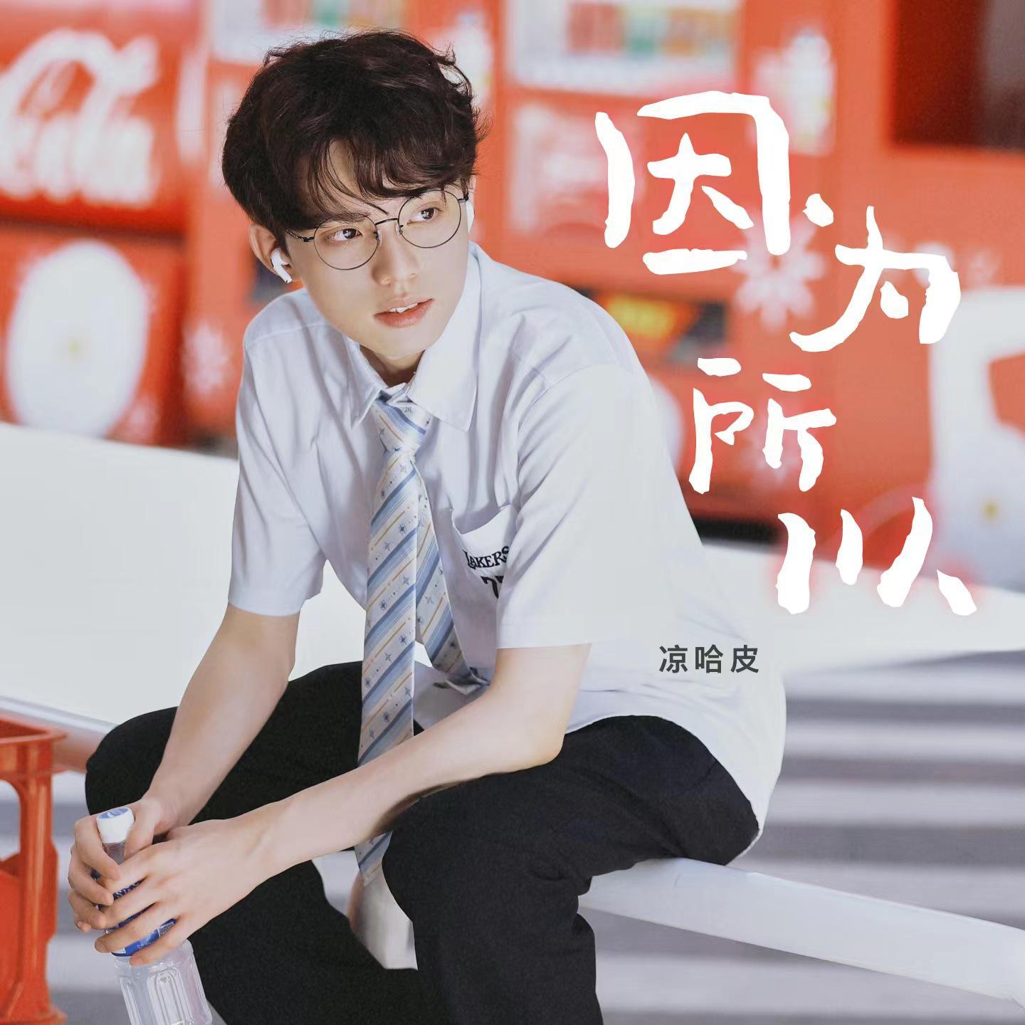 因为所以封面