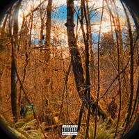 Midnight Summer (feat. Cole Campbell)