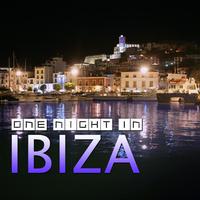 One Night In Ibiza