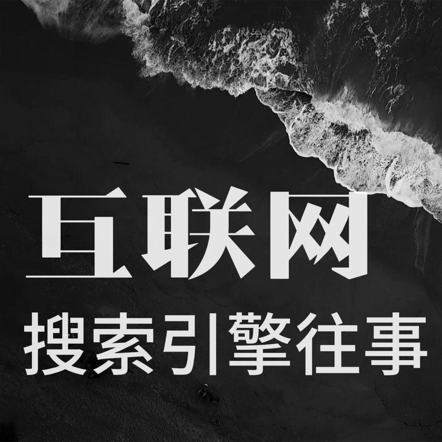 互联网搜索引擎往事封面