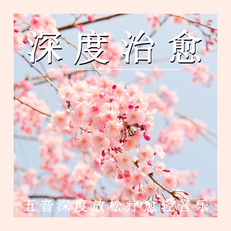 轻音乐的疗愈力量封面