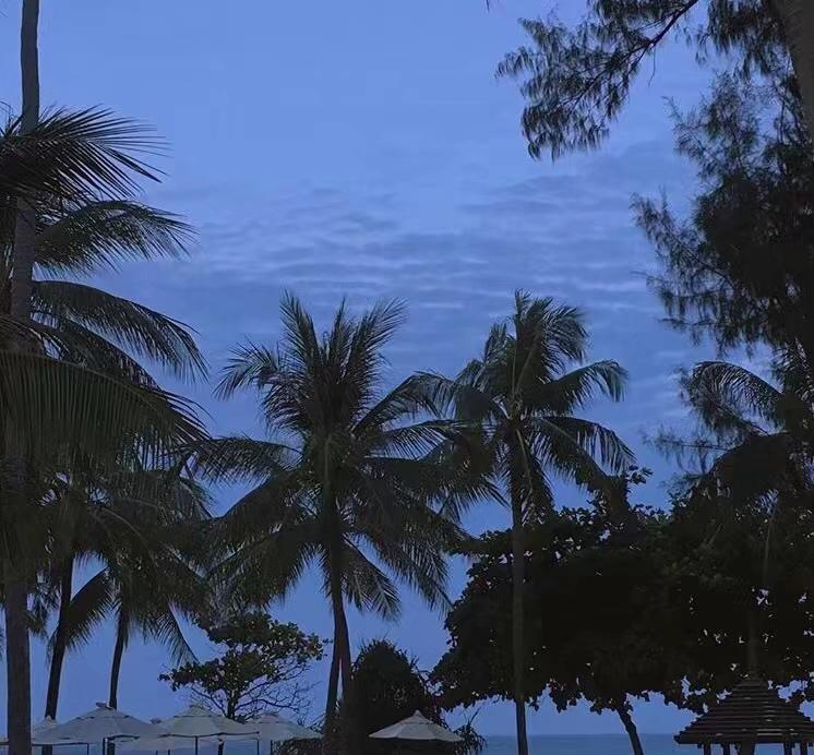 性空山封面