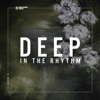 Deep In The Rhythm, Vol. 16