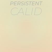 Persistent Calid