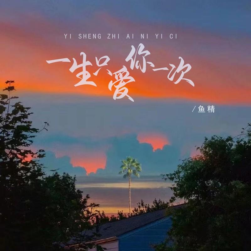 一生只爱你一次 (DJ默涵版伴奏)封面