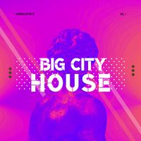 Big City House, Vol. 1