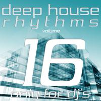 Deep House Rhythms, Vol. 16