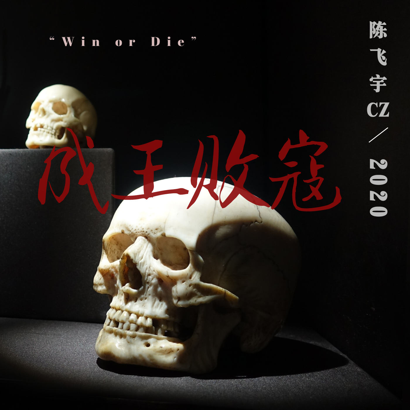 成王败寇封面